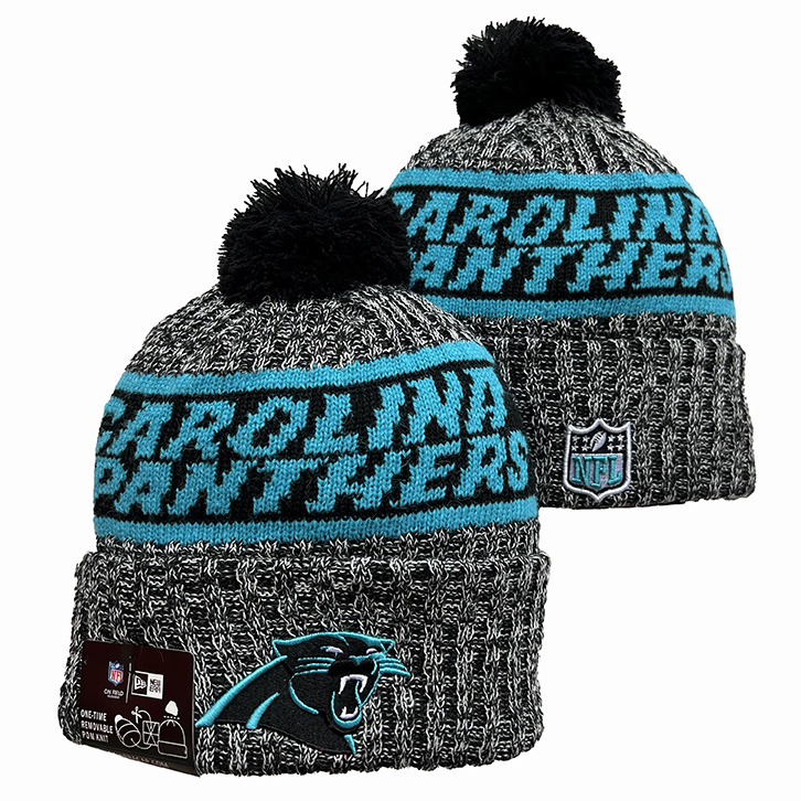 Carolina Panthers 2025 Knit Hats 009